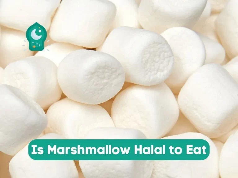 Is Marshmallow Halal to Eat | The Hidden Truth 