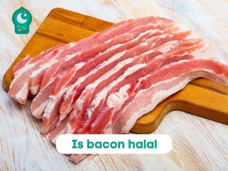Is bacon halal? A Simple and Illuminative Guide 