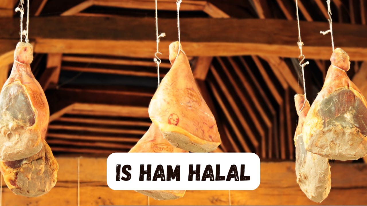 sendt Monograph Erobrer Is Ham Halal- A Dimensional Guide - Comprehensive Islam