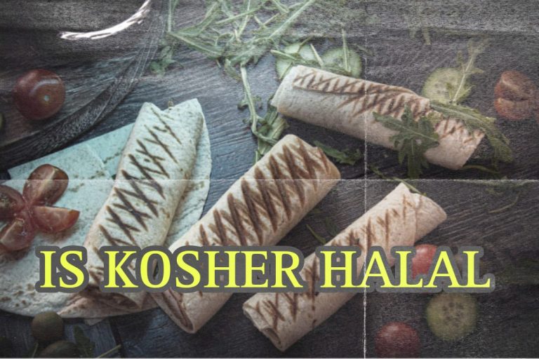 Is Kosher Halal | Can We Eat It? 