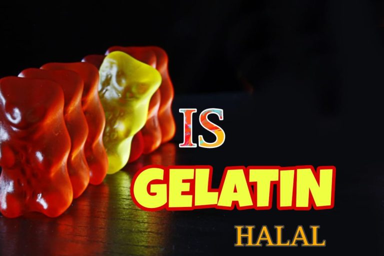 Is Gelatin Halal | A controvercial Ingredient 