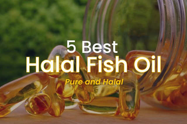 5 Best Halal Fish Oil 2023 | Pure and Halal